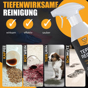Sonneneule Teppichreiniger Set 1